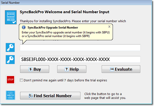 The SyncBackPro serial number window when a SyncBackSE serial number has been entered