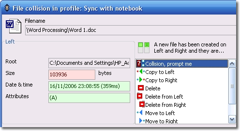 File Collision window: click to enlarge