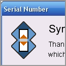 Enter SyncBackSE Serial Number