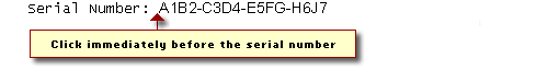 ensure you click immediately after the last digit of your serial number