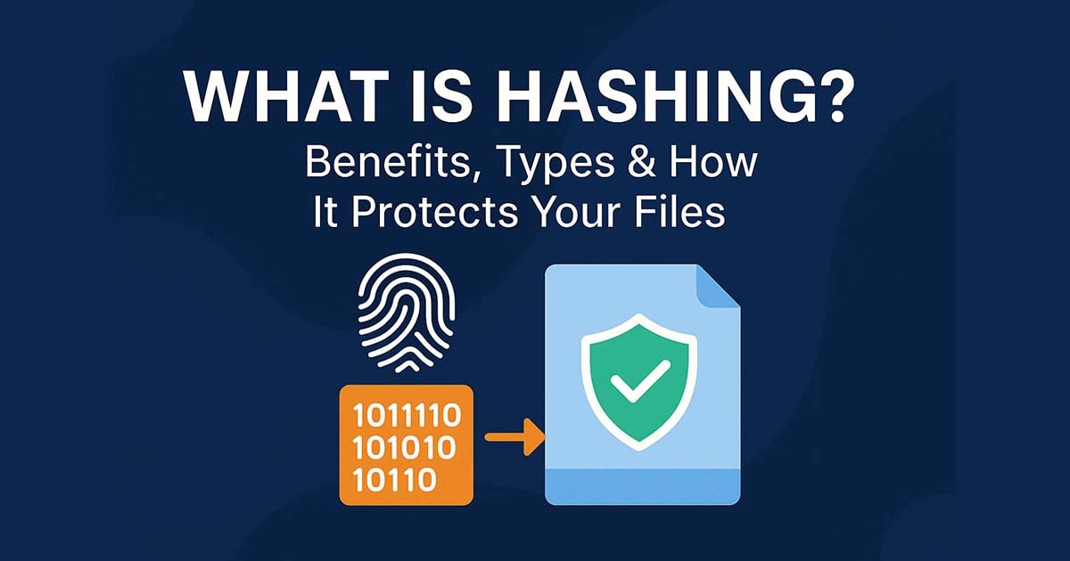 Illustration of file hashing